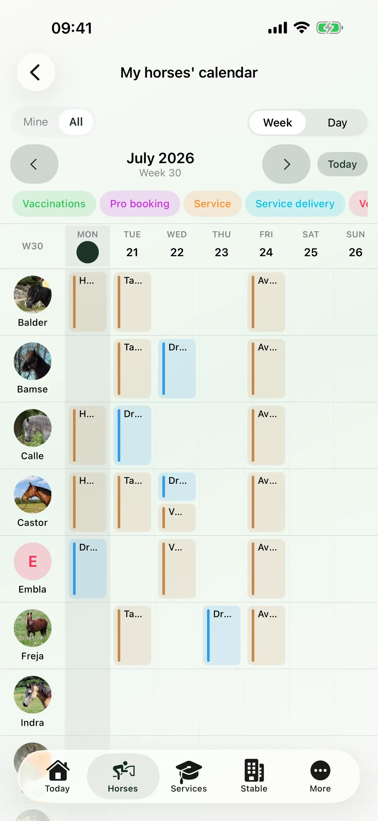 Billable items in EquiDuty
