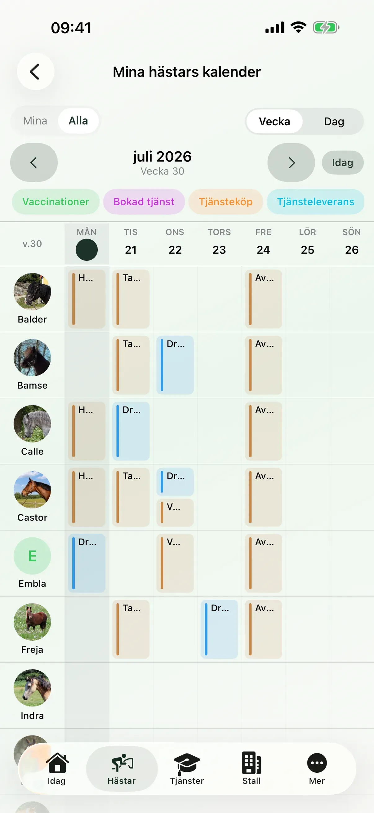 Billable items in EquiDuty