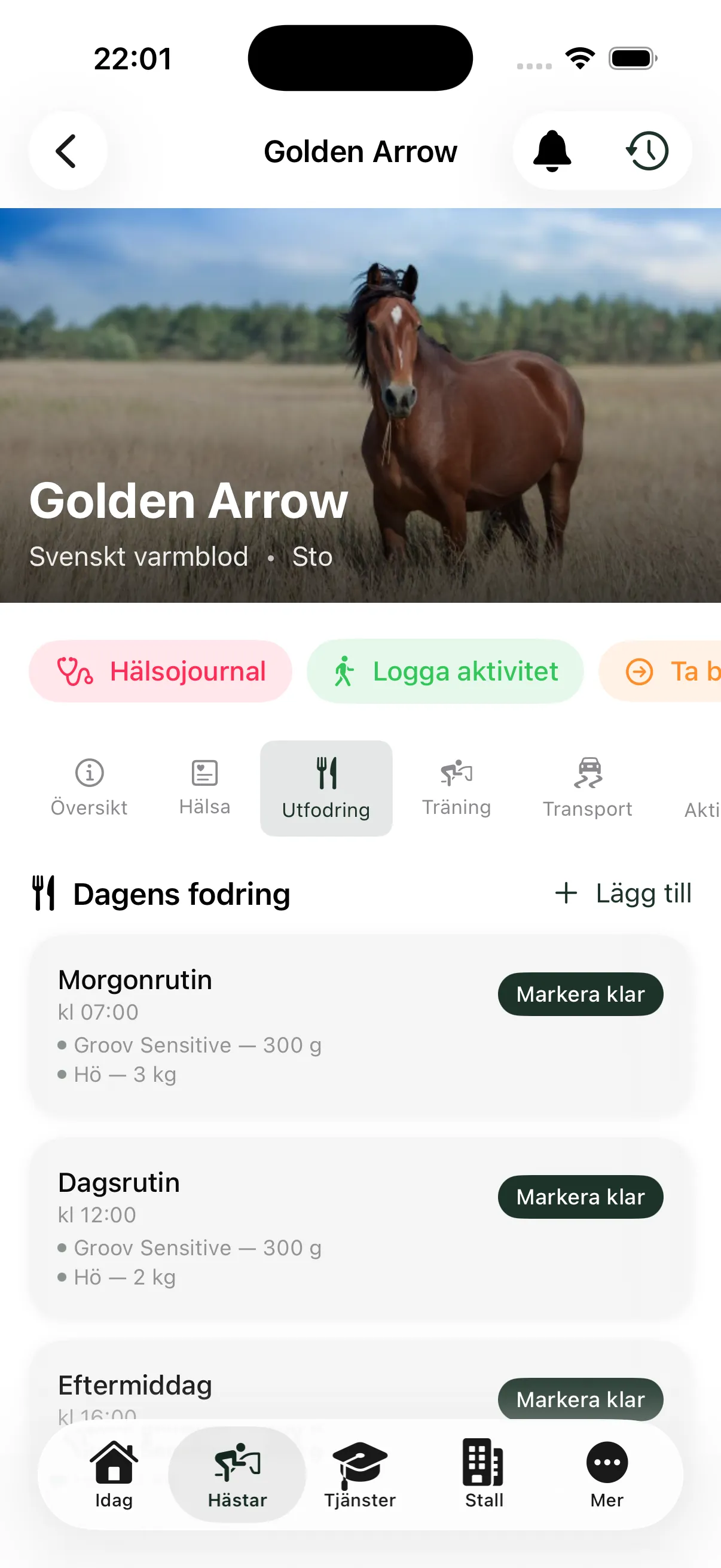 Daglig utfodring och foderstat per häst i EquiDuty